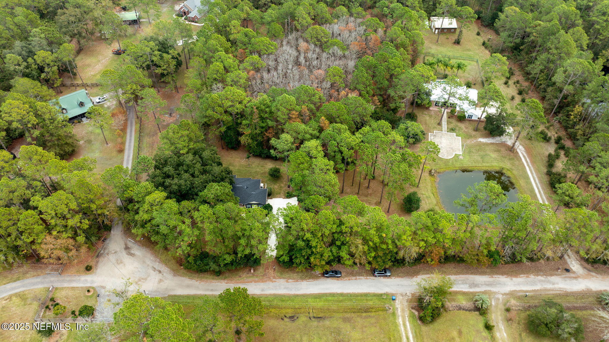 13193 Caldwell Road Jacksonville, FL 32226 - Photo 46 of 50 a view of a garden with plants