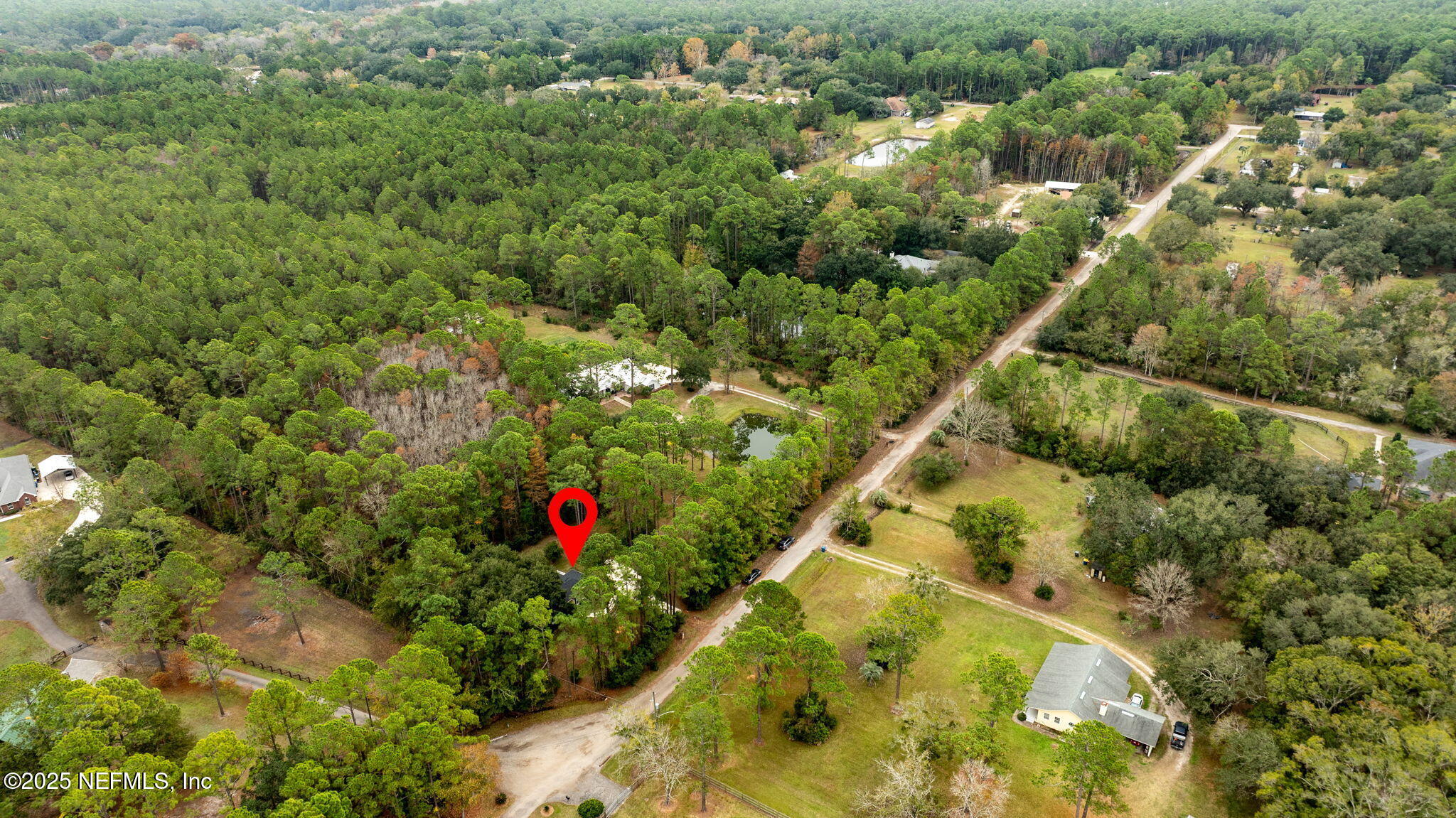 13193 Caldwell Road Jacksonville, FL 32226 - Photo 49 of 50 a view of a yard with flower plants