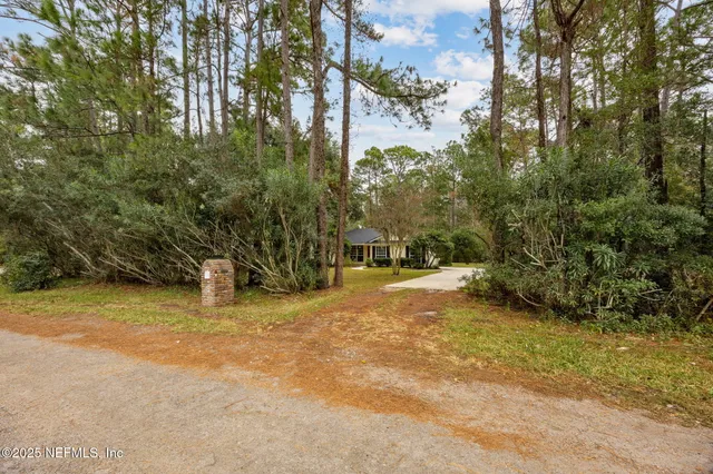 a view of a yard with plants and trees