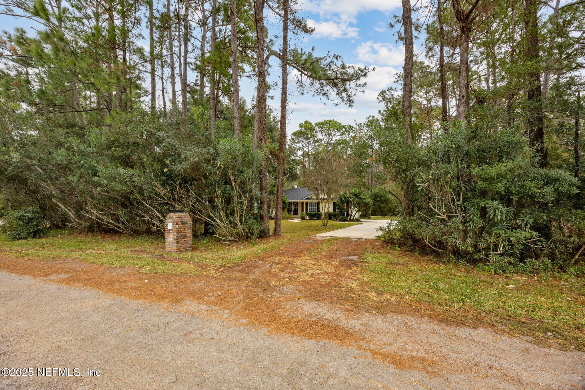 13193 Caldwell Road Jacksonville, FL 32226 - Photo 5 of 50 a view of a yard with plants and trees