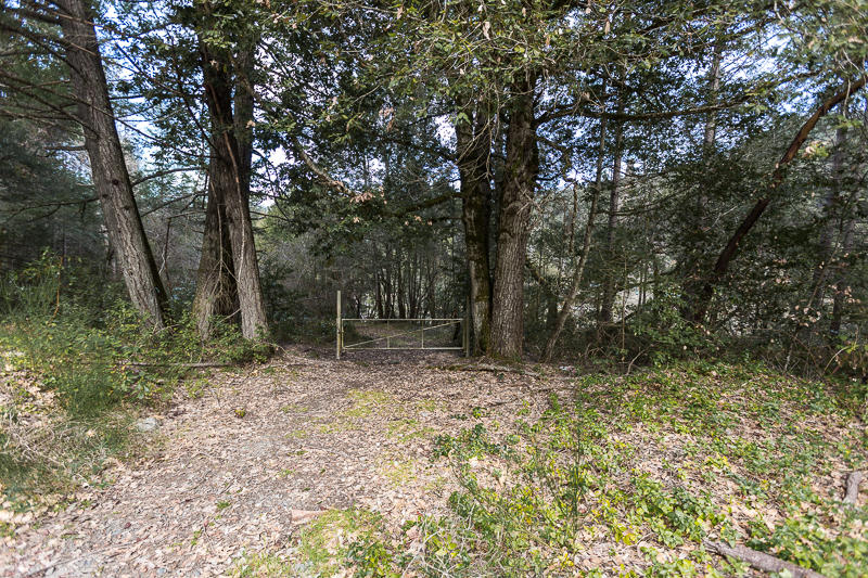 5539 Highway 299 Burnt Ranch, CA 95527 - Photo 16 of 16 RMP-58
