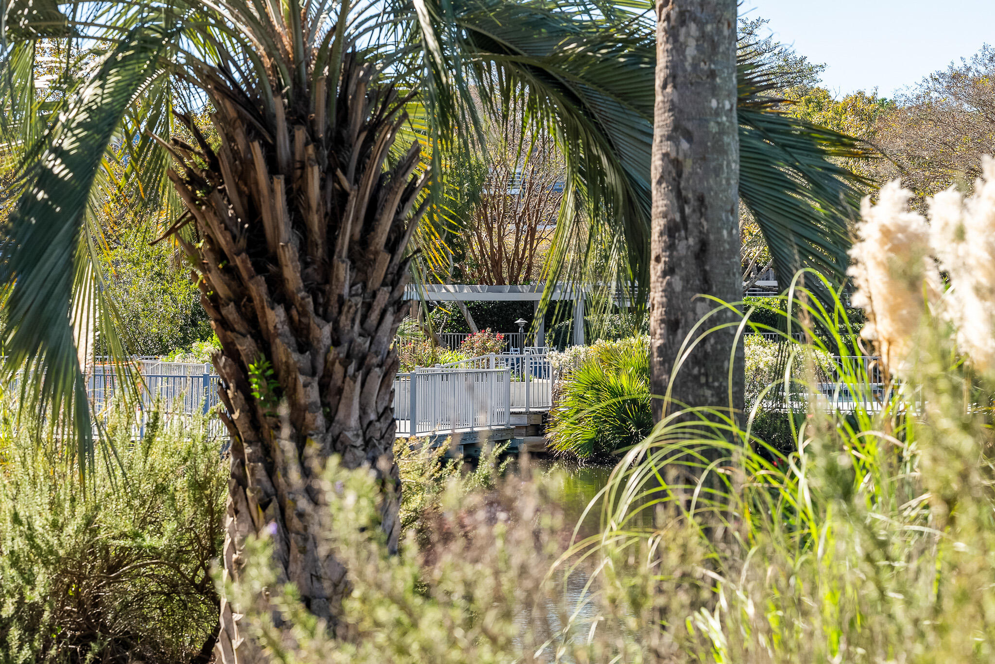 2433 Racquet Club Drive Seabrook Island, SC 29455 - Photo 61 of 109 2433 Racquet_54