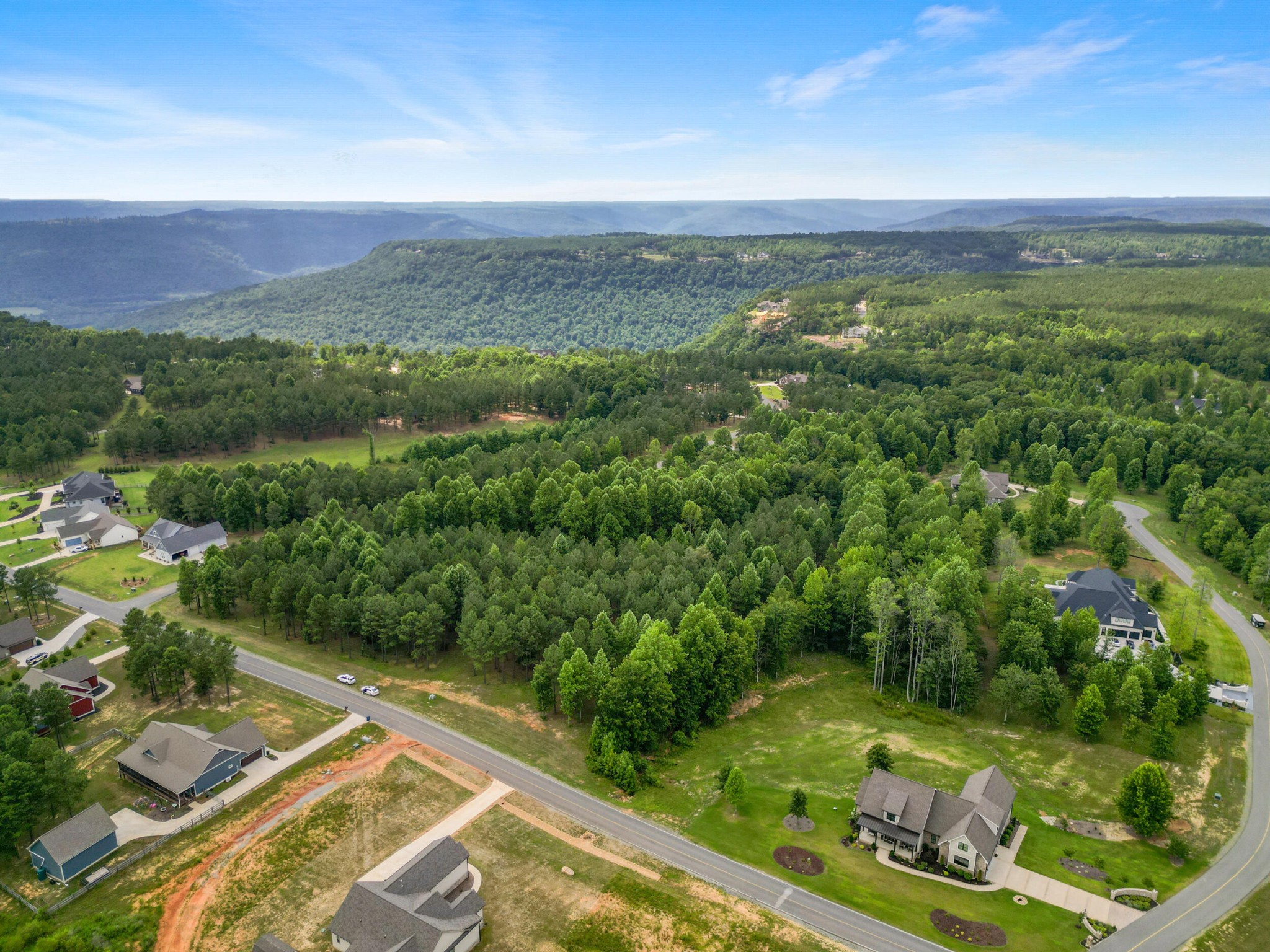 1711 Raulston Fls Road Jasper, TN 37347 - Photo 11 of 29 a view of a city with lush green forest