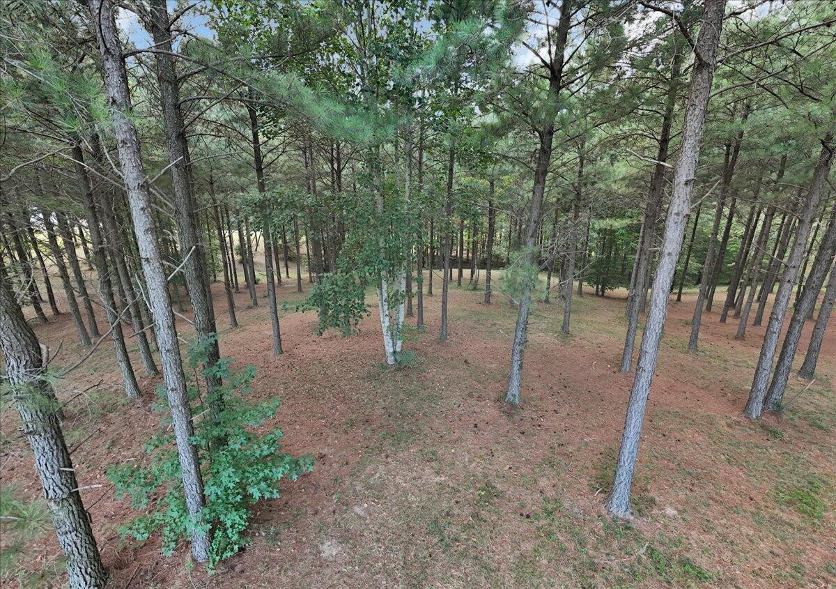 1711 Raulston Fls Road Jasper, TN 37347 - Photo 2 of 29 a view of a forest