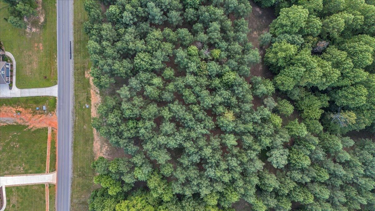 1711 Raulston Fls Road Jasper, TN 37347 - Photo 6 of 29 a view of a garden from a window