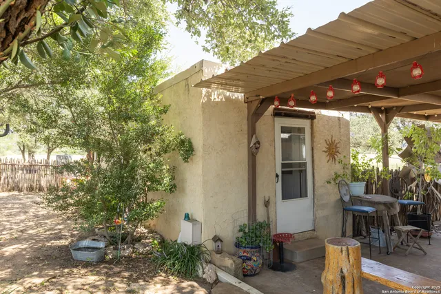 a view of a backyard with plants