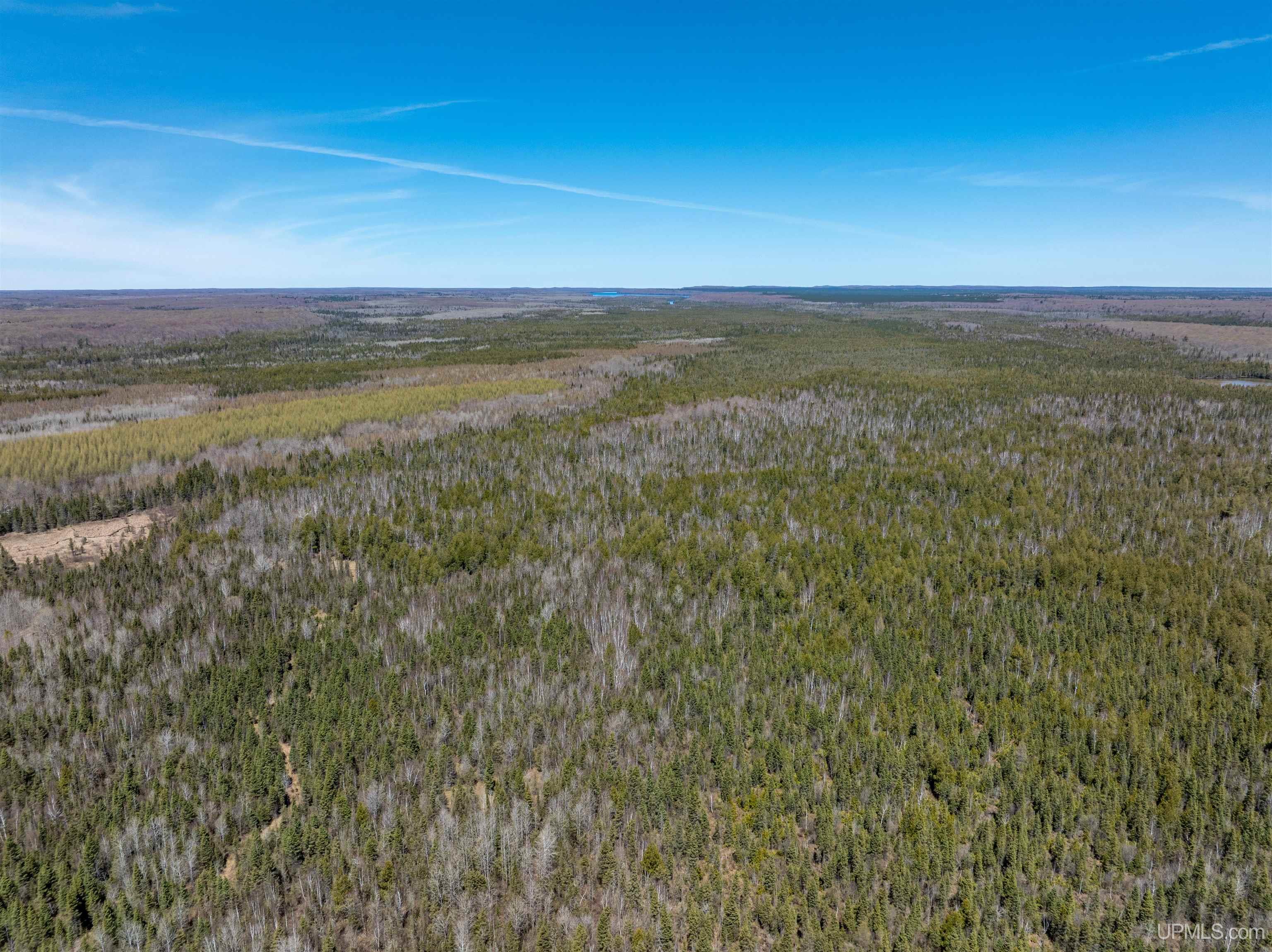 E4291 Walleye Road Chatham, MI 49816 - Photo 22 of 52
