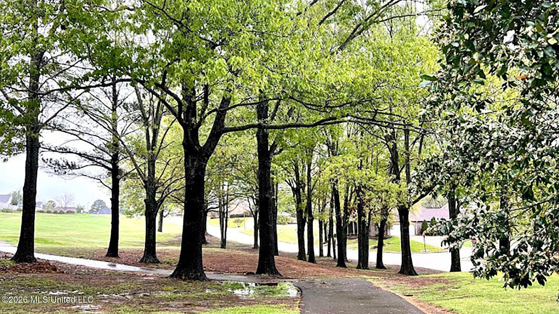 600 Pinecrest Drive Madison, MS 39110 - Photo 42 of 42 Pic6