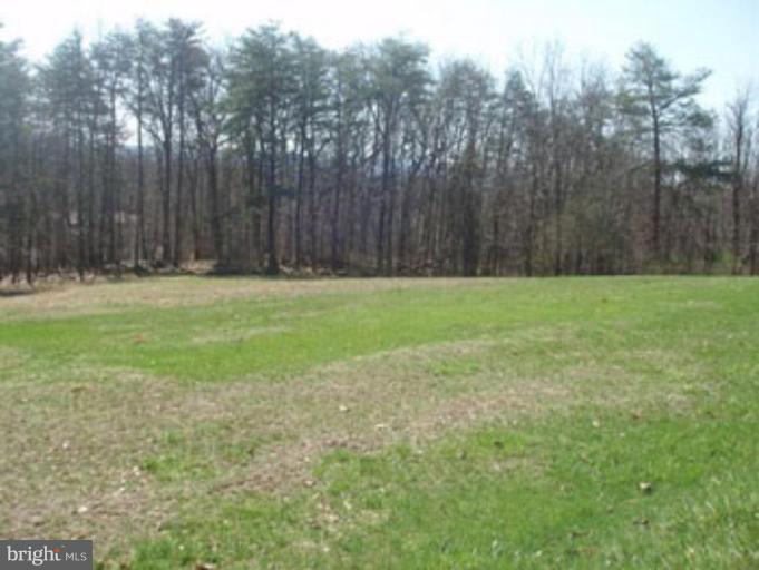 10 Grove Heights Road Berkeley Springs, WV 25411 - Photo 2 of 6 Wooded View / Acreage