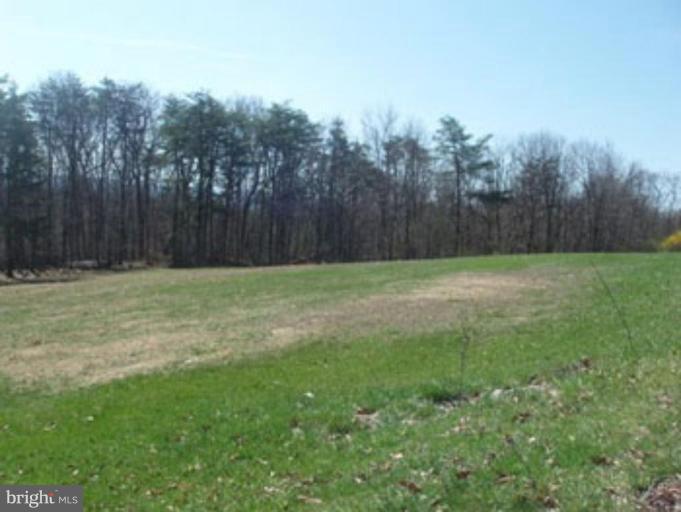 10 Grove Heights Road Berkeley Springs, WV 25411 - Photo 3 of 6 Wooded View / Acreage 2