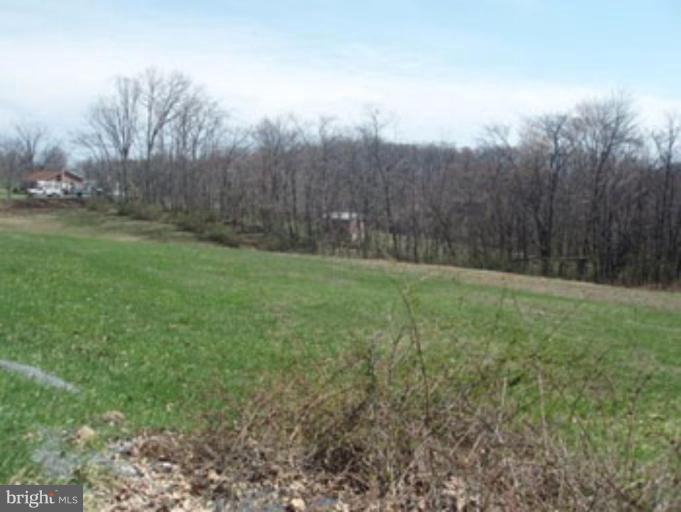10 Grove Heights Road Berkeley Springs, WV 25411 - Photo 4 of 6 Wooded View / Acreage 3