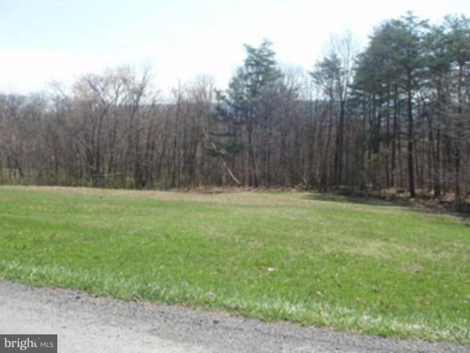 10 Grove Heights Road Berkeley Springs, WV 25411 - Photo 6 of 6 Other #1