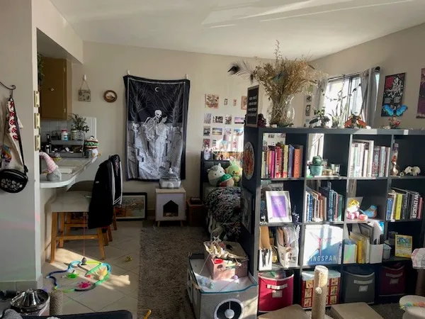 a view of a workspace with bookshelf and toys
