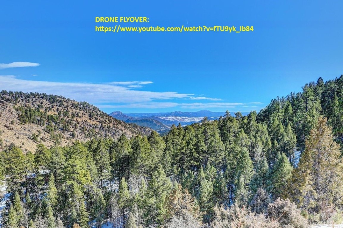 14405 Reserve Road Pine, CO 80470 - Photo 1 of 28 a view of a field with an ocean