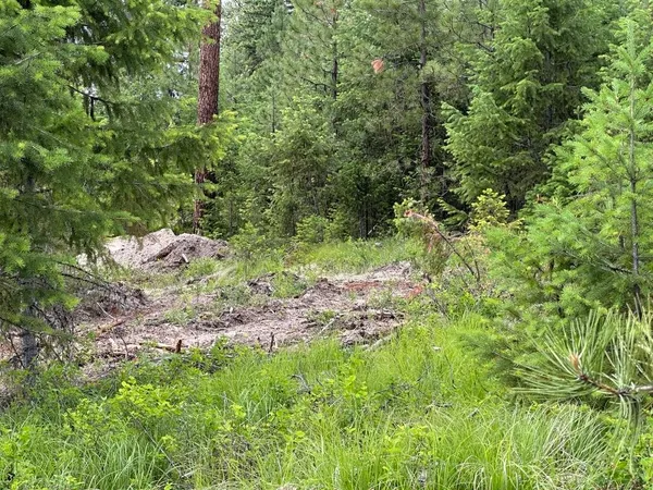 $54,000 | 36-xx Lot D 36-xx Road, Republic, WA 99166
