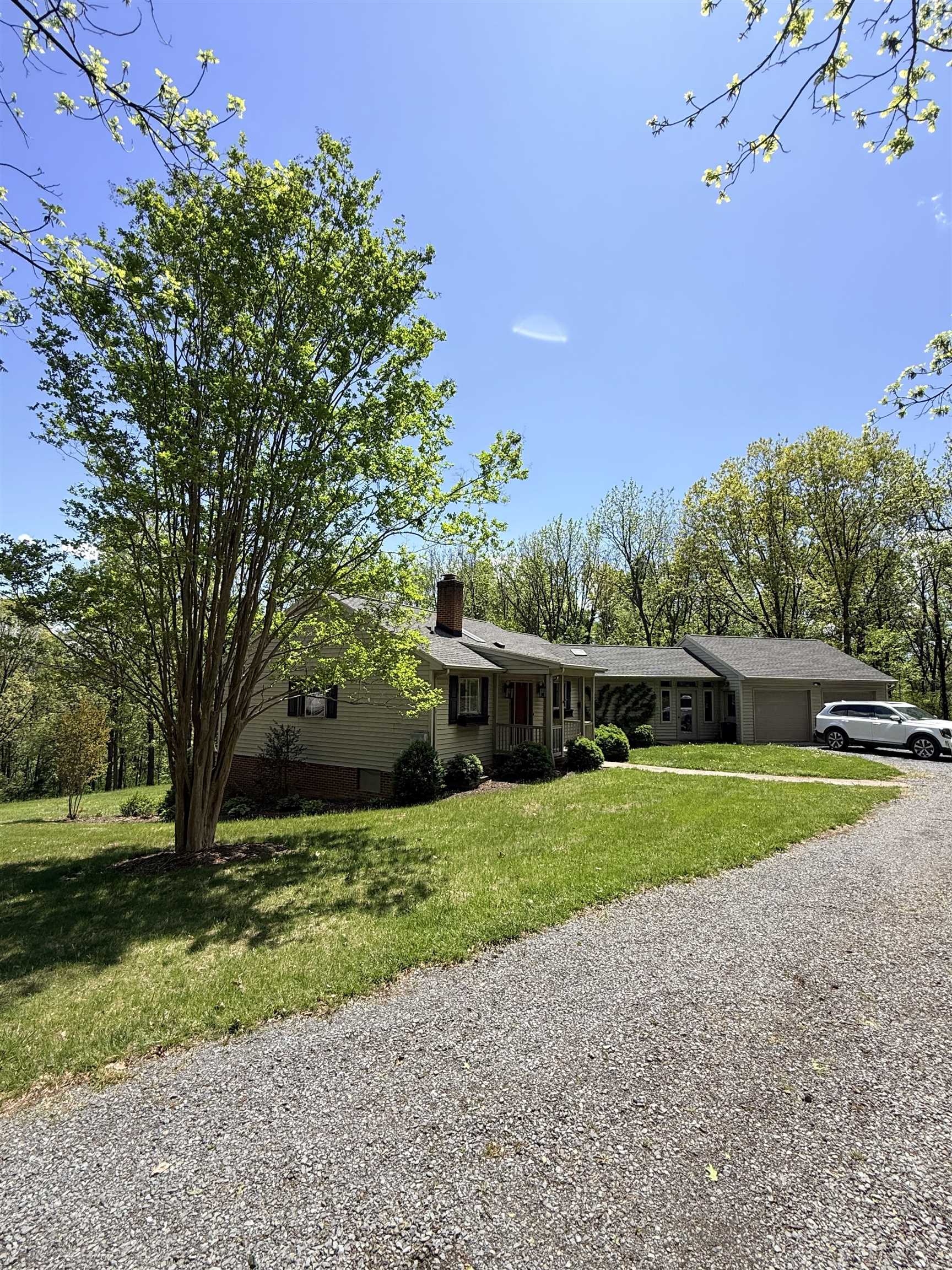 a view of a backyard with large trees