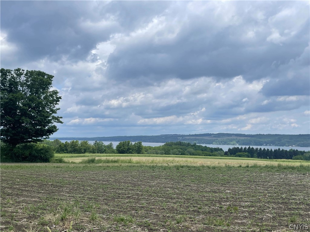 1676 West Lake Road Skaneateles, NY 13152 - Photo 2 of 9