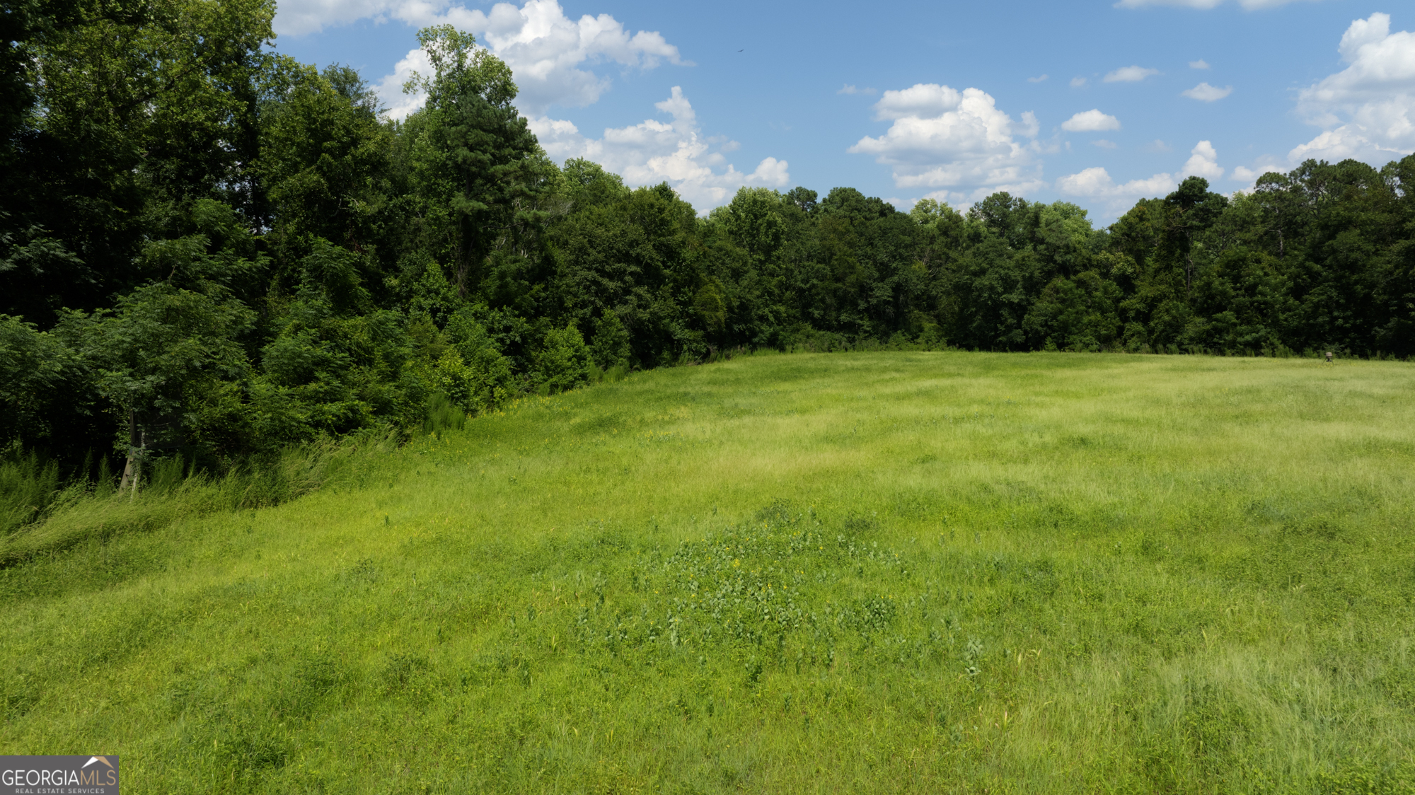 0 Sunbury Road Claxton, GA 30417 - Photo 27 of 36 Gallery Image 27