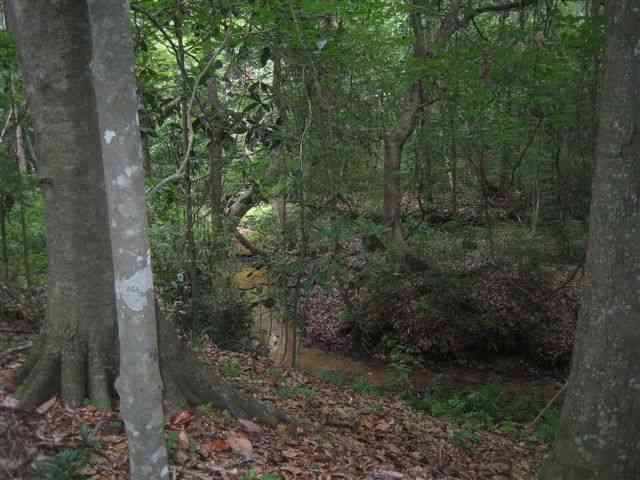 580 Spring Meadows Road Quincy, FL 32351 - Photo 2 of 3