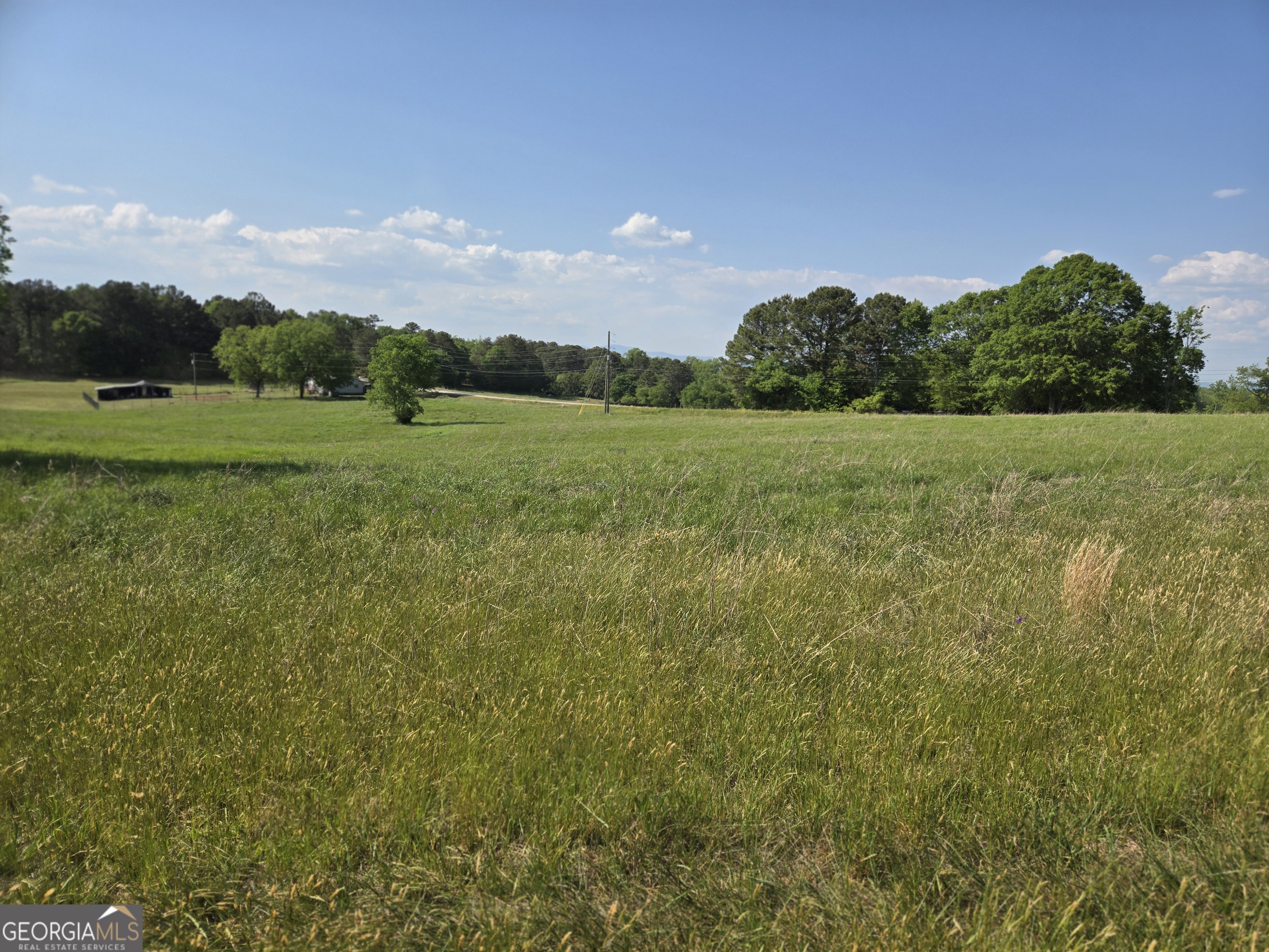 4.5-ac Ed Tench Demorest, GA 30535 - Photo 1 of 14
