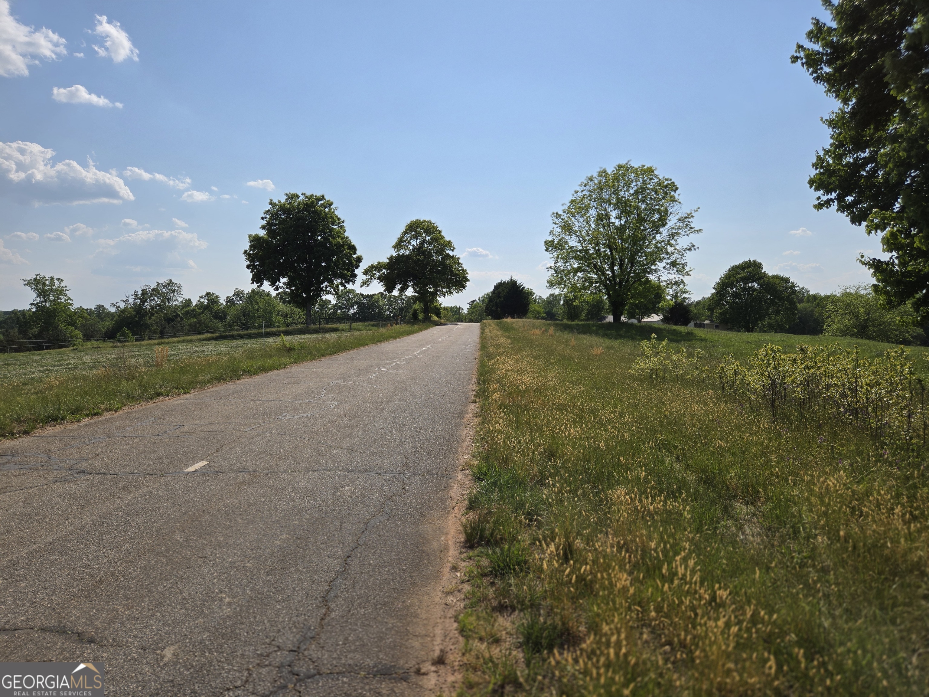 4.5-ac Ed Tench Demorest, GA 30535 - Photo 2 of 14
