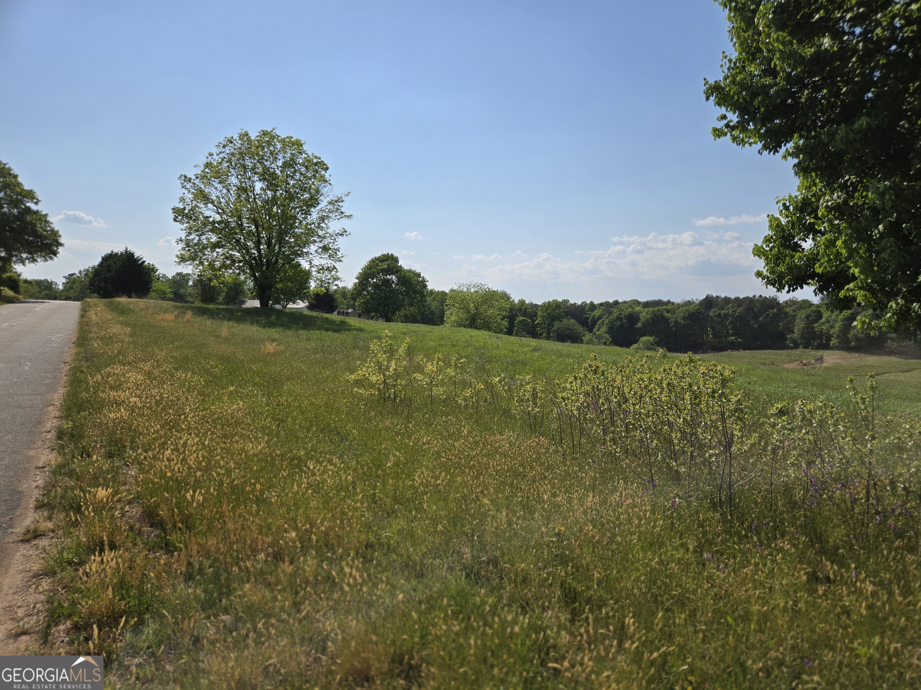 4.5-ac Ed Tench Demorest, GA 30535 - Photo 5 of 14