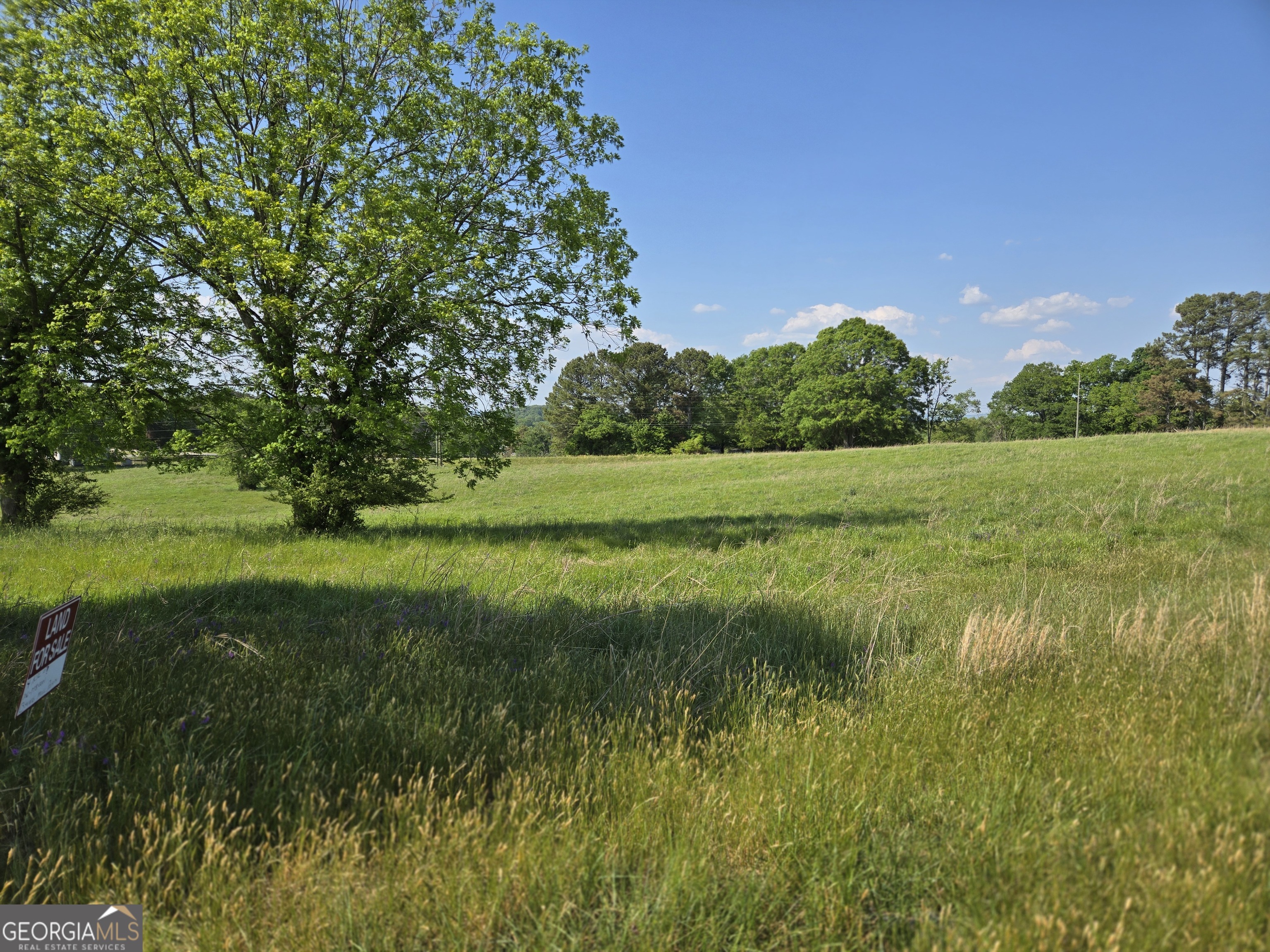 4.5-ac Ed Tench Demorest, GA 30535 - Photo 8 of 14