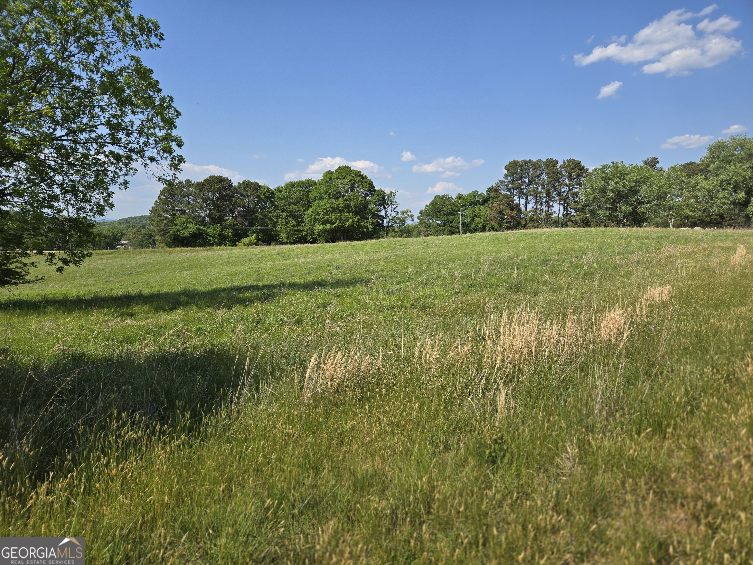 4.5-ac Ed Tench Demorest, GA 30535 - Photo 10 of 14