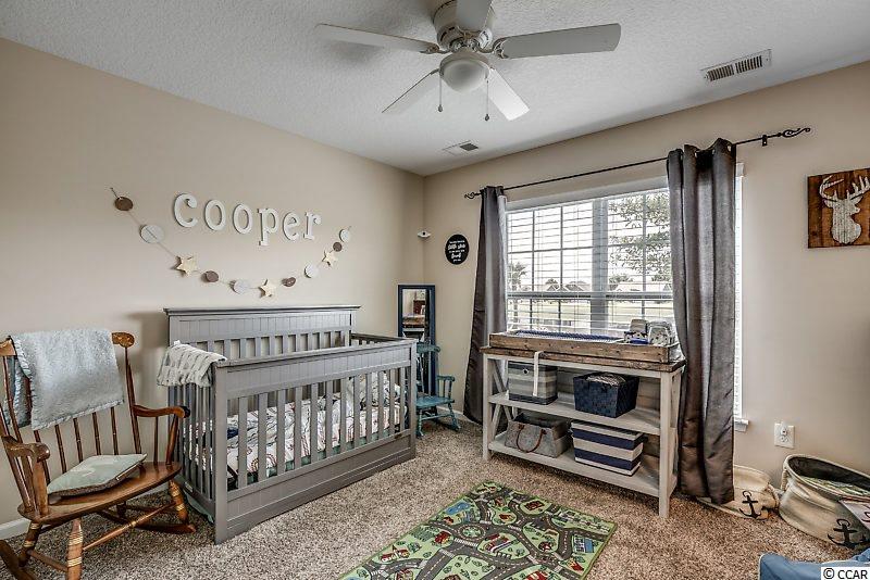 300 Whipple Run Loop Myrtle Beach, SC 29588 - Photo 22 of 33 Gallery Image 22