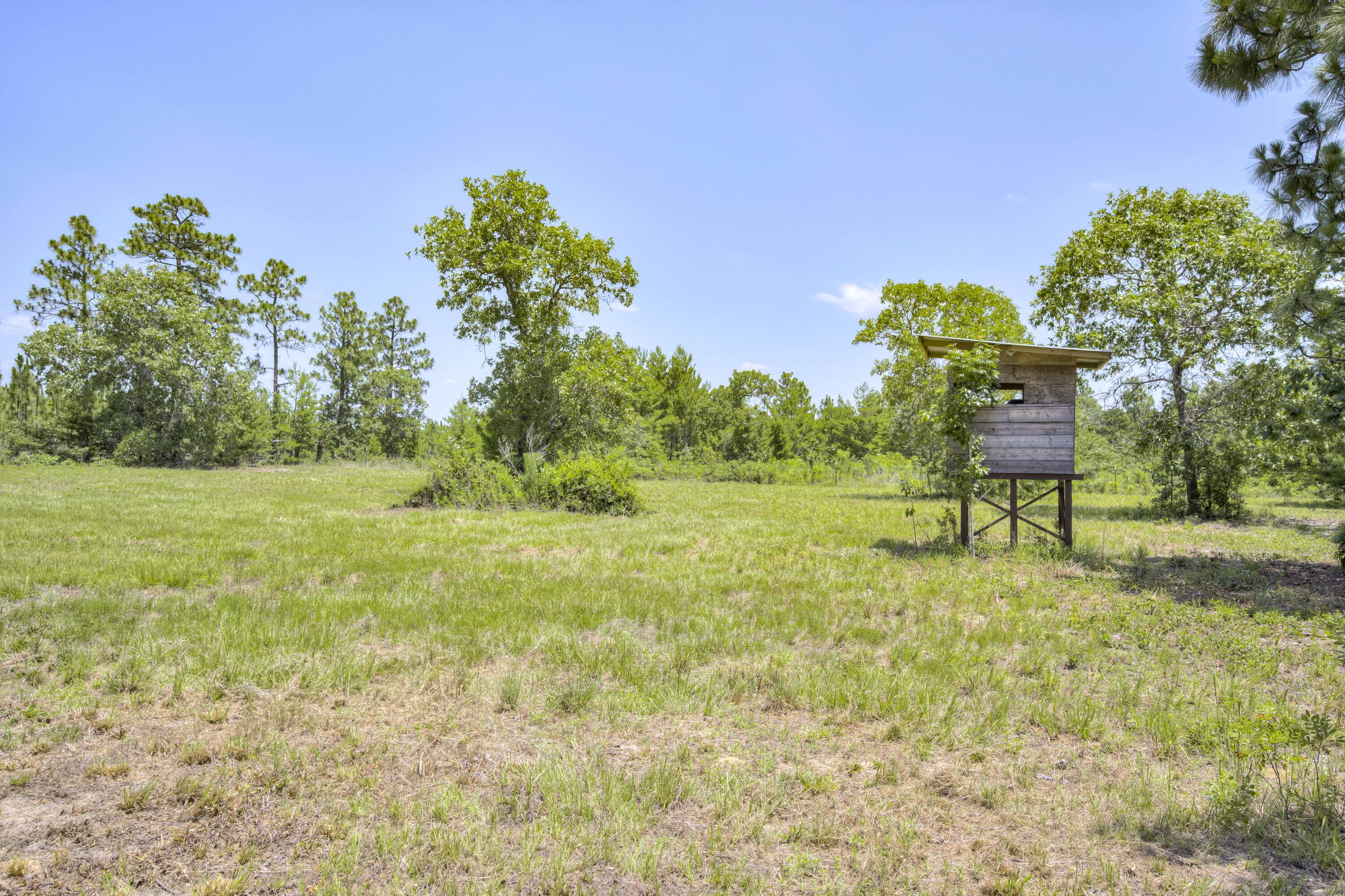 798 Big Branch Road Wagener, SC 29164 - Photo 42 of 63