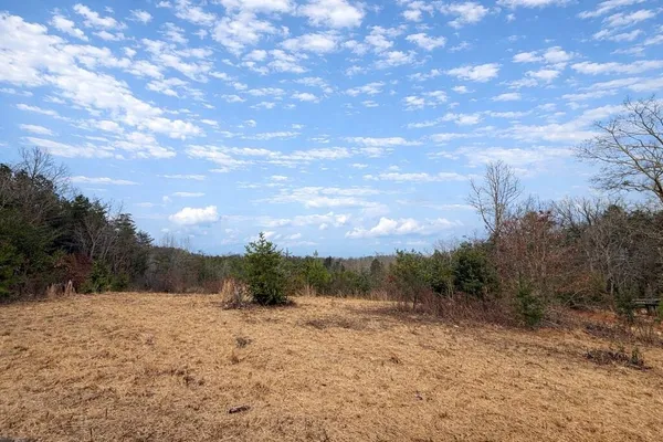 a view of a dry yard with trees