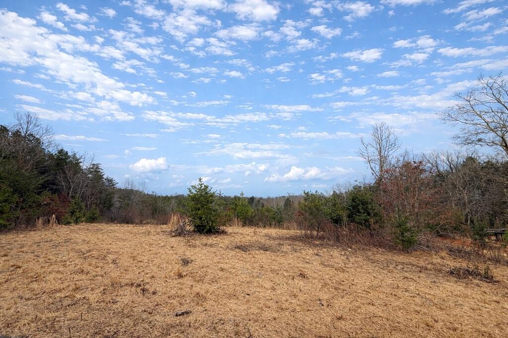 369 Smith Road Bassett, VA 24055 - Photo 3 of 3 a view of a dry yard with trees