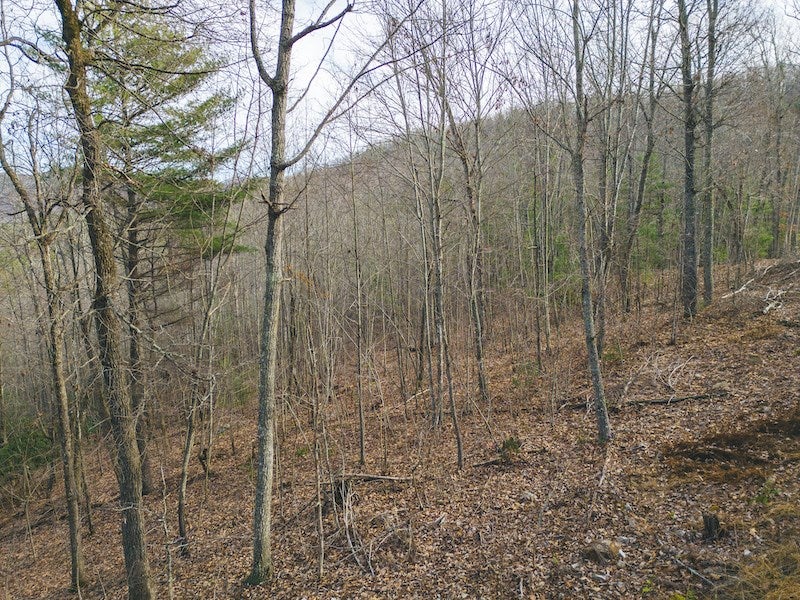 Tbd Tbd Little Irish Road Hiwassee, VA 24347 - Photo 2 of 11 Gallery Image 2