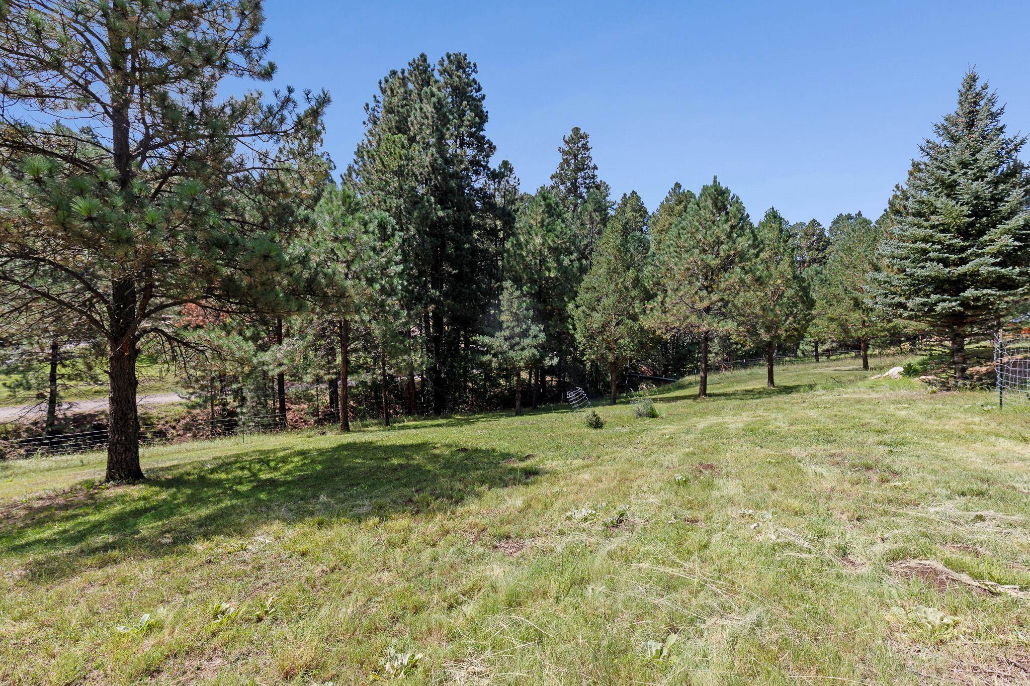3 Allen A Dale Road Mayhill, NM 88339 - Photo 62 of 83 Gallery Image 62