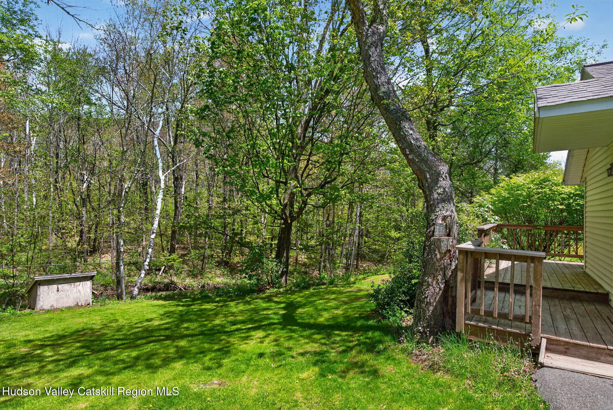 689 Old Road Windham, NY 12496 - Photo 32 of 42 a view of a backyard with plants and large trees