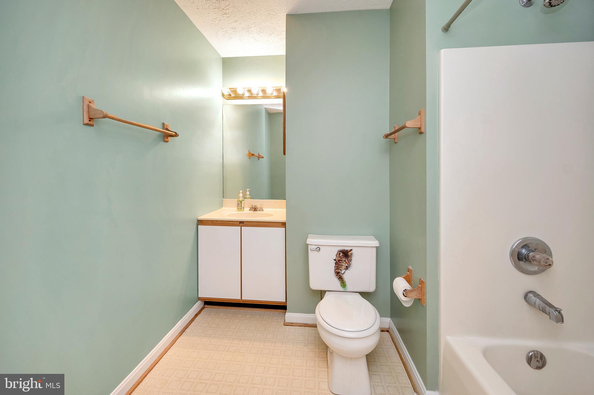 18237 Monitor Road Culpeper, VA 22701 - Photo 16 of 22 Full bath with tub