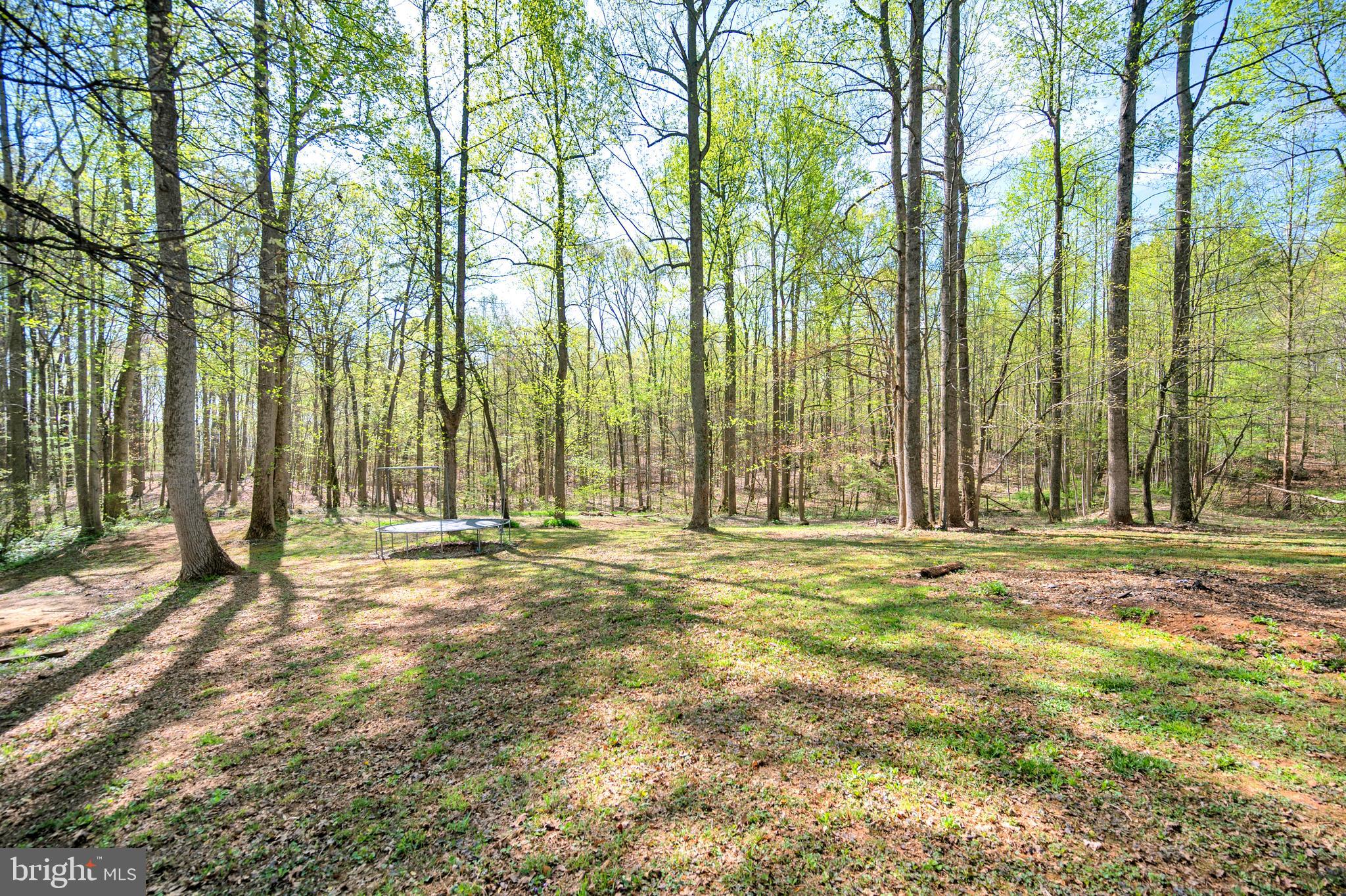 18237 Monitor Road Culpeper, VA 22701 - Photo 20 of 22 2.8 acres all to yourself!