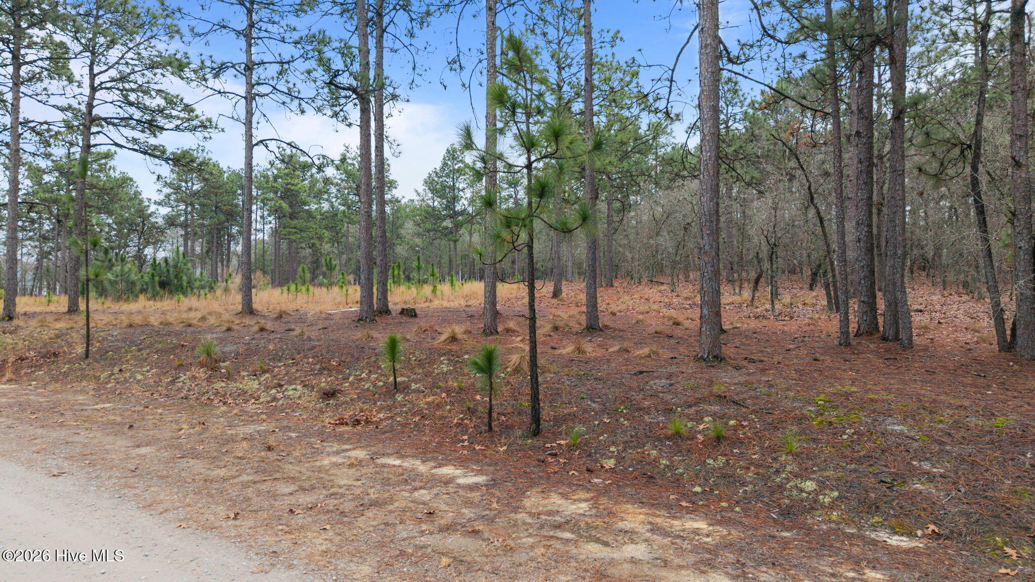 Tbd Tbd Forest Ridge Lane Jackson Springs, NC 27281 - Photo 3 of 17 1-web-or-mls-DJI_20260228103650_0928_D