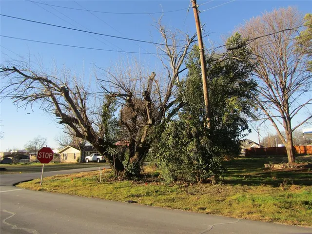 a view of a yard with a tree