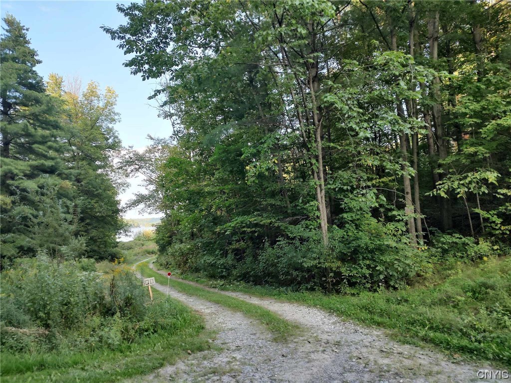 0 Chapman Point Road Hammond, NY 13646 - Photo 1 of 1 Gallery Image 1