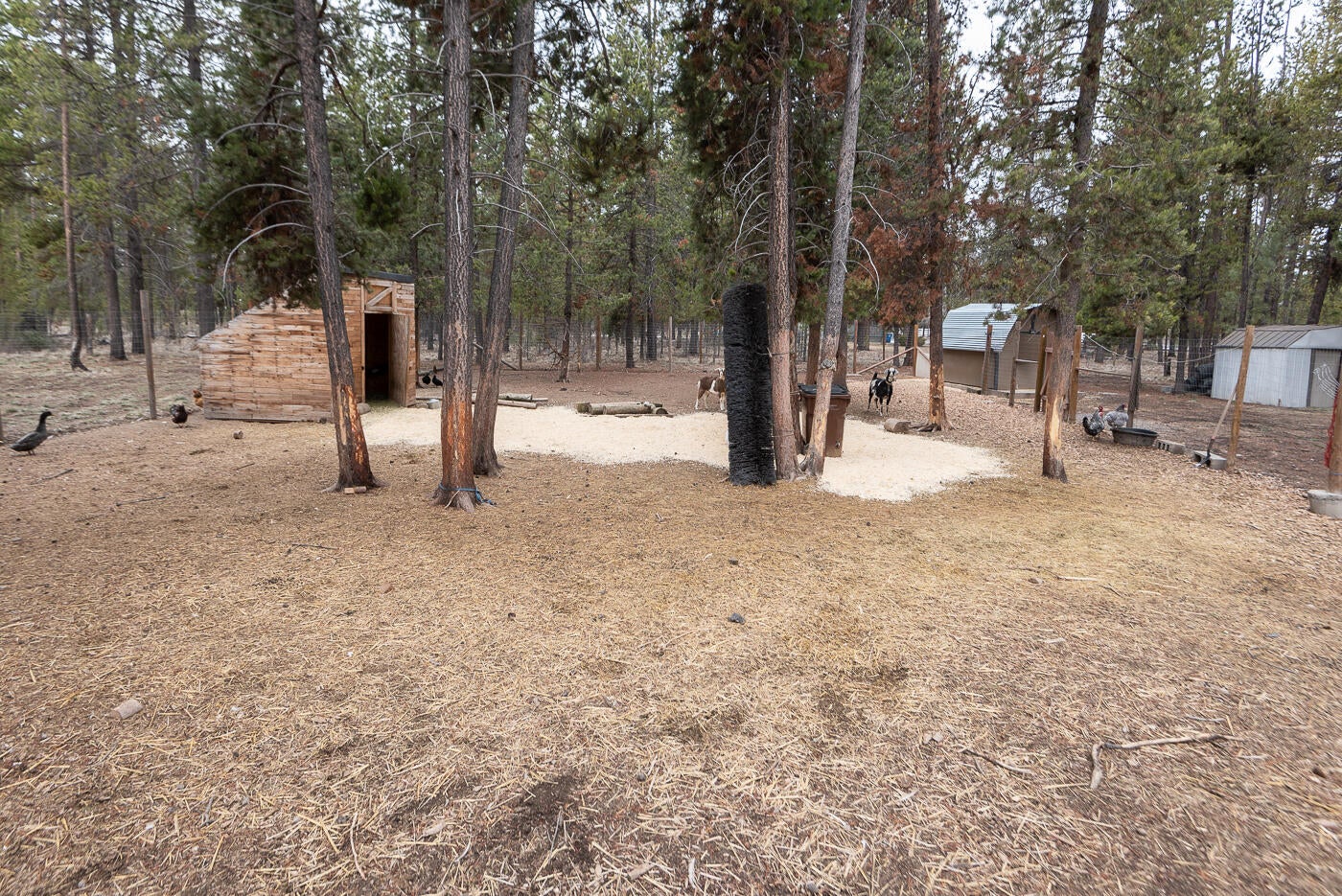 17833 Grimm Road Bend, OR 97707 - Photo 25 of 30 Grimm_Berg-22