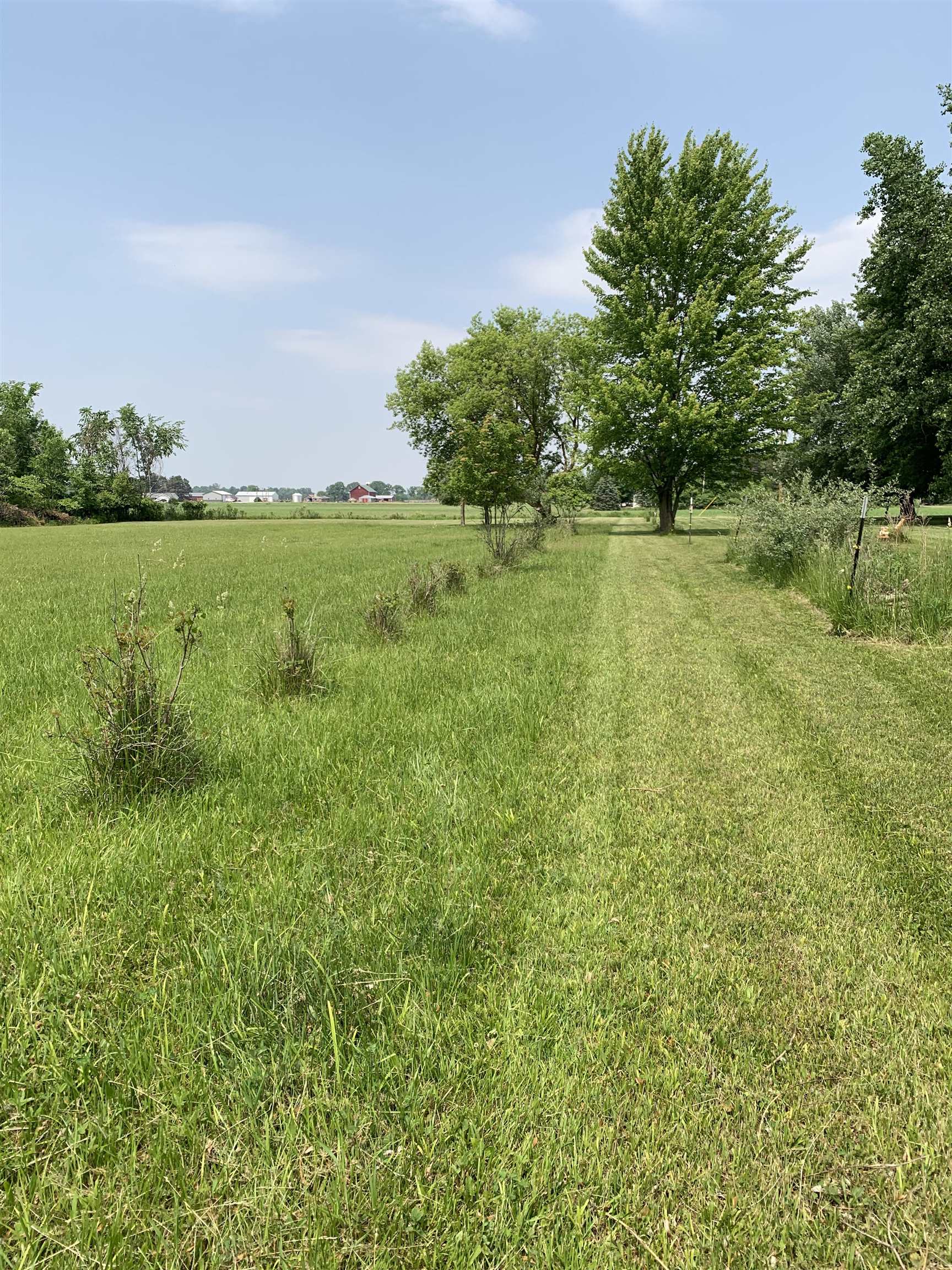 17290 South Raucholz Road Oakley, MI 48649 - Photo 12 of 31 50111181-11.JPG