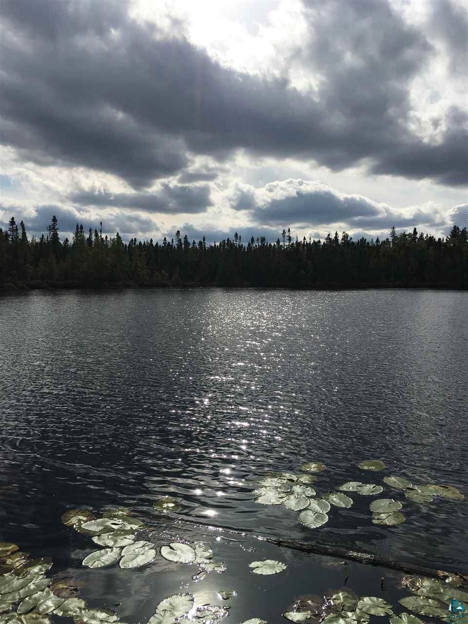 8274 Rossini Road Duluth, MN 55803 - Photo 5 of 14 Fully-stoked lake