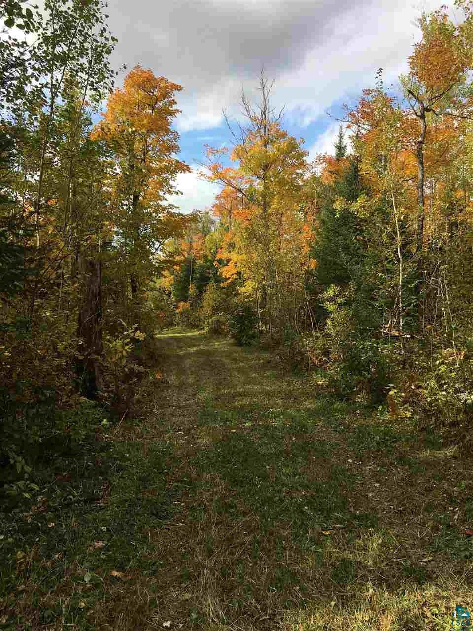 8274 Rossini Road Duluth, MN 55803 - Photo 8 of 14 Fall colors you have to see to believe!