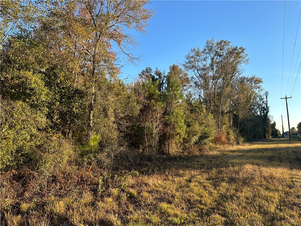 301 Broadhurst Road East Jesup, GA 31546 - Photo 20 of 39