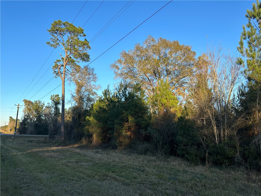 301 Broadhurst Road East Jesup, GA 31546 - Photo 21 of 39