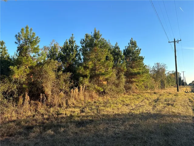 $220,000 | 301 Broadhurst Road East, Jesup, GA 31546