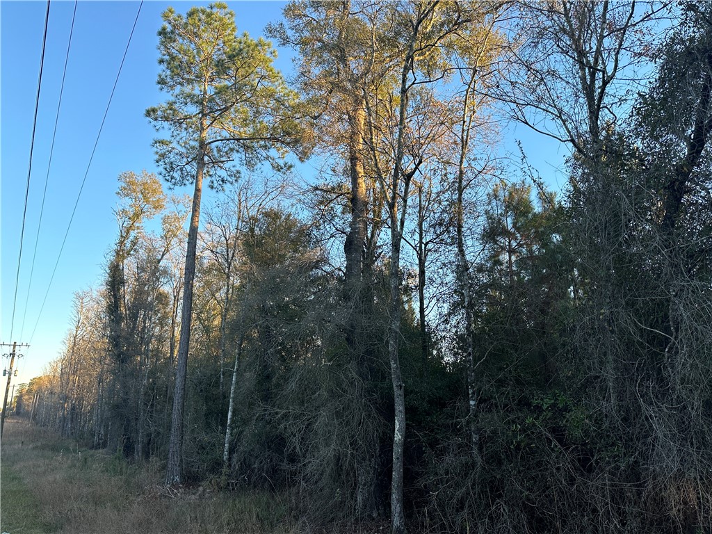 301 Broadhurst Road East Jesup, GA 31546 - Photo 23 of 39