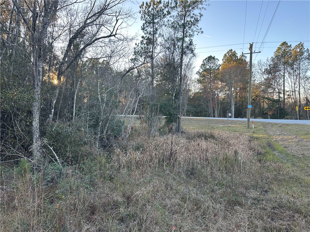 301 Broadhurst Road East Jesup, GA 31546 - Photo 25 of 39