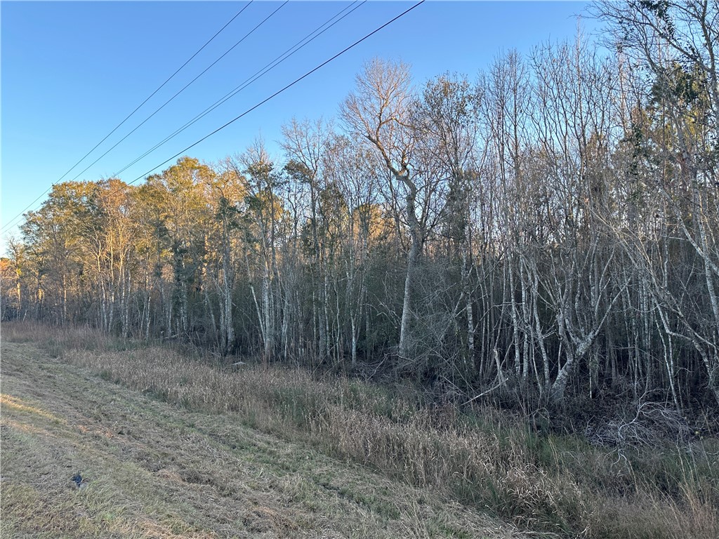 301 Broadhurst Road East Jesup, GA 31546 - Photo 26 of 39